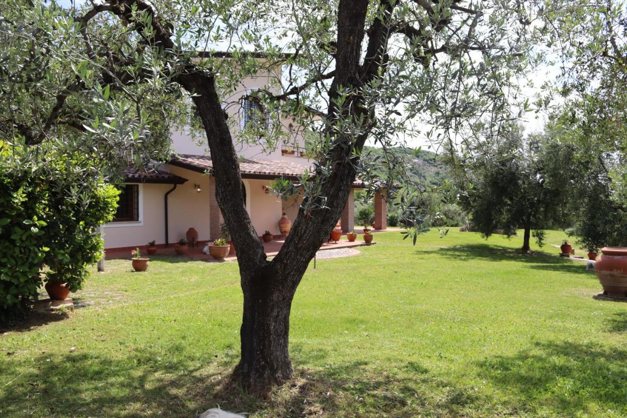 Agriturismo Il Bagolaro Nerola Exterior foto