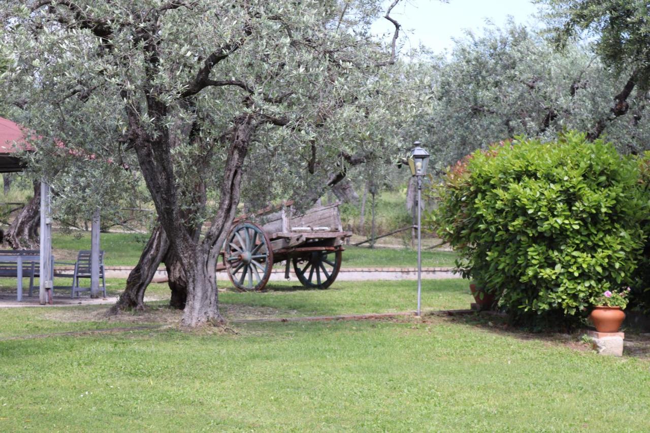 Agriturismo Il Bagolaro Nerola Exterior foto